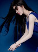 反而任由蓝白“正在野”党从导议题